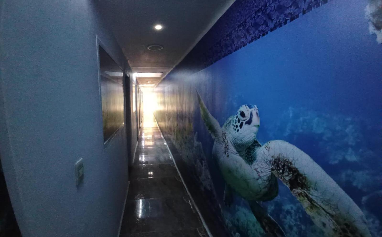 Hotel Dmauro Cartagena 외부 사진